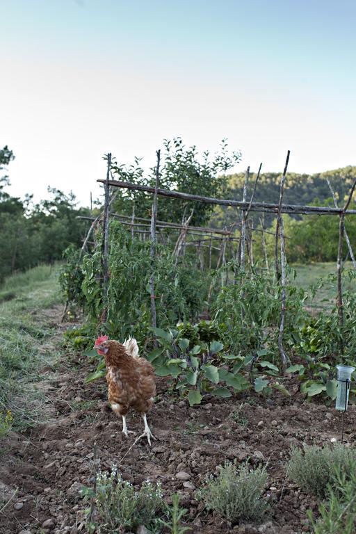 Masia Ca L'Anima La Baronia de Rialb Bagian luar foto