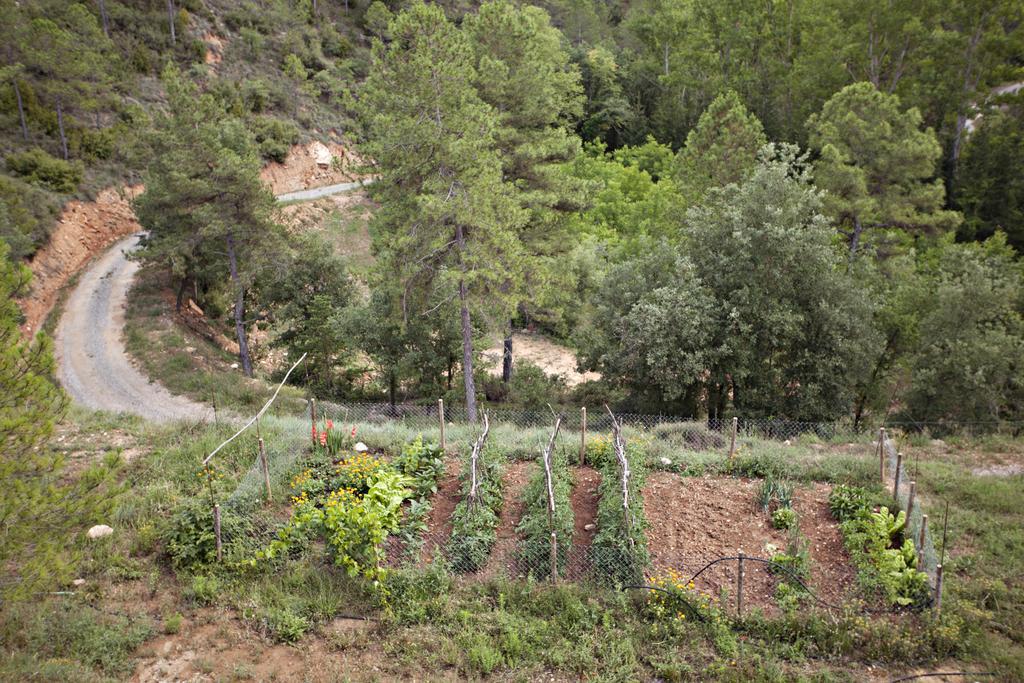 Masia Ca L'Anima La Baronia de Rialb Ruang foto