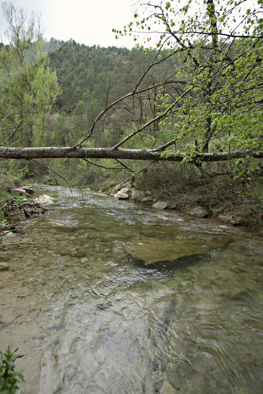 Masia Ca L'Anima La Baronia de Rialb Ruang foto