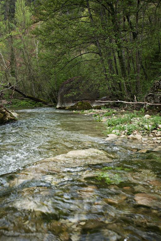 Masia Ca L'Anima La Baronia de Rialb Ruang foto