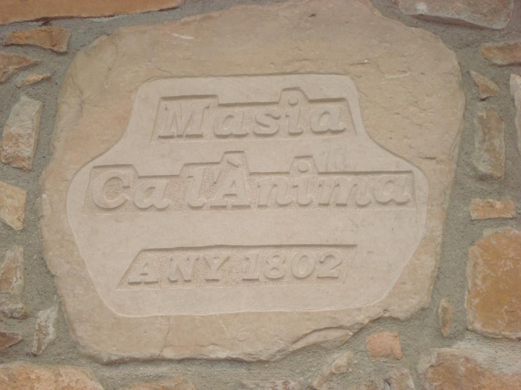 Masia Ca L'Anima La Baronia de Rialb Ruang foto